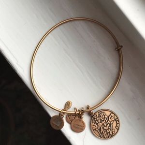 Alex and Ani “Aunt” bangle